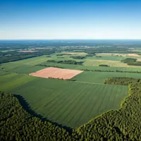 Agroleśnictwo