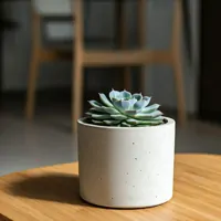 Echeveria