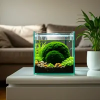 Kula Marimo