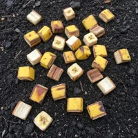 Skórka banana jako nawóz