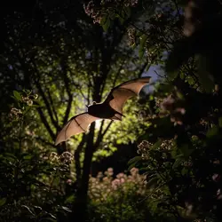 Nietoperz w ogrodzie