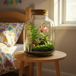 Roślinne terrarium